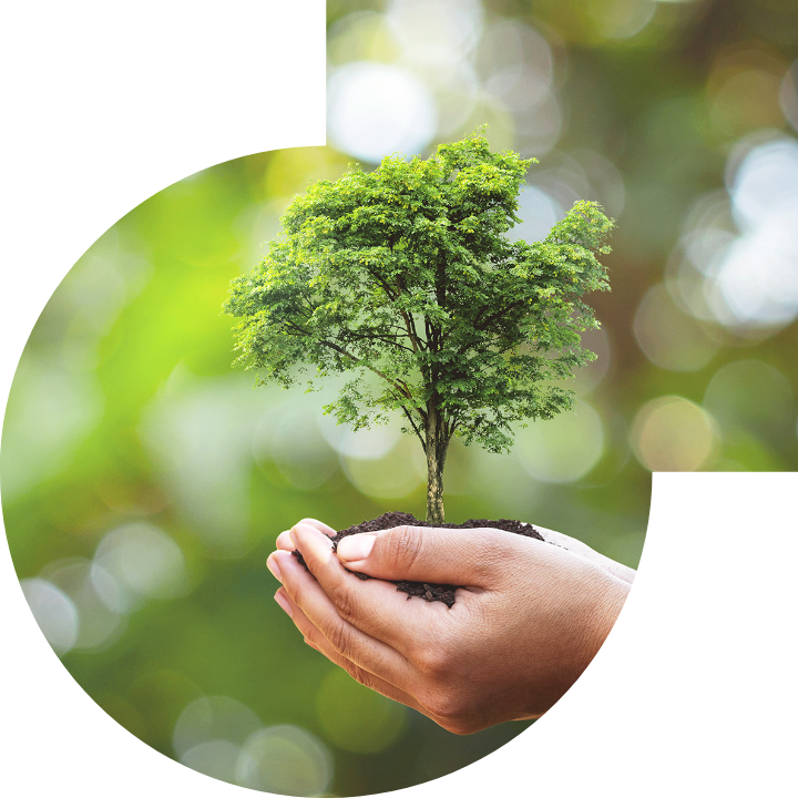 关怀人类、文化、环境与社会